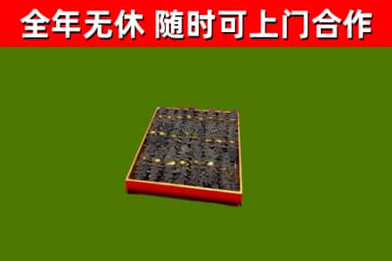 灵寿回收海参